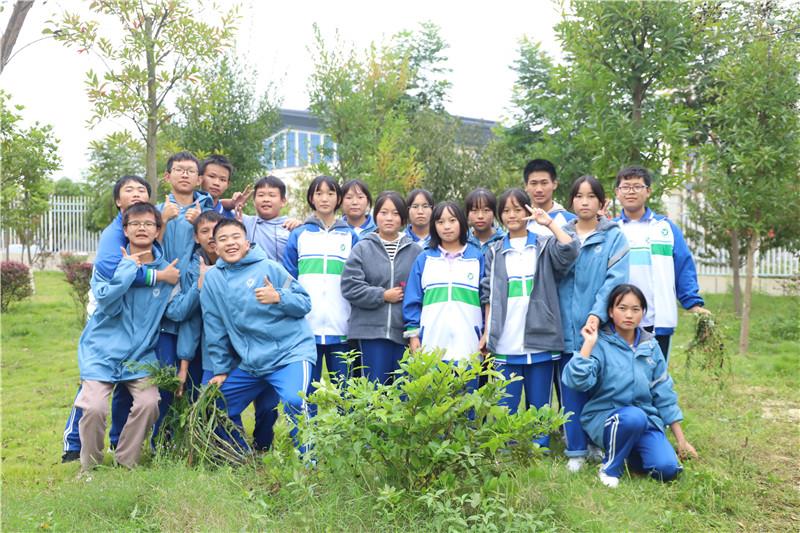 美化校园环境|做美丽校园的守护者